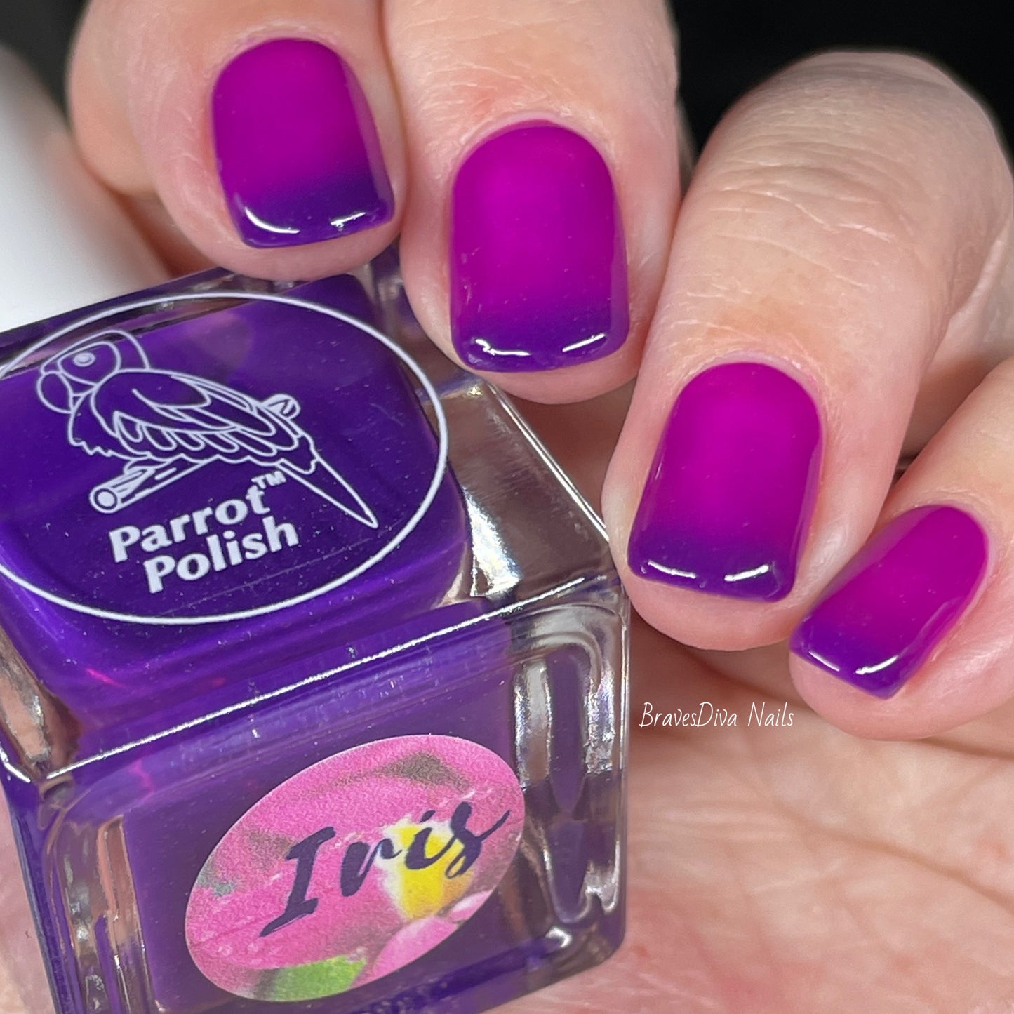 Parrot Polish Iris Thermal Nail Polish - Purple/Pink