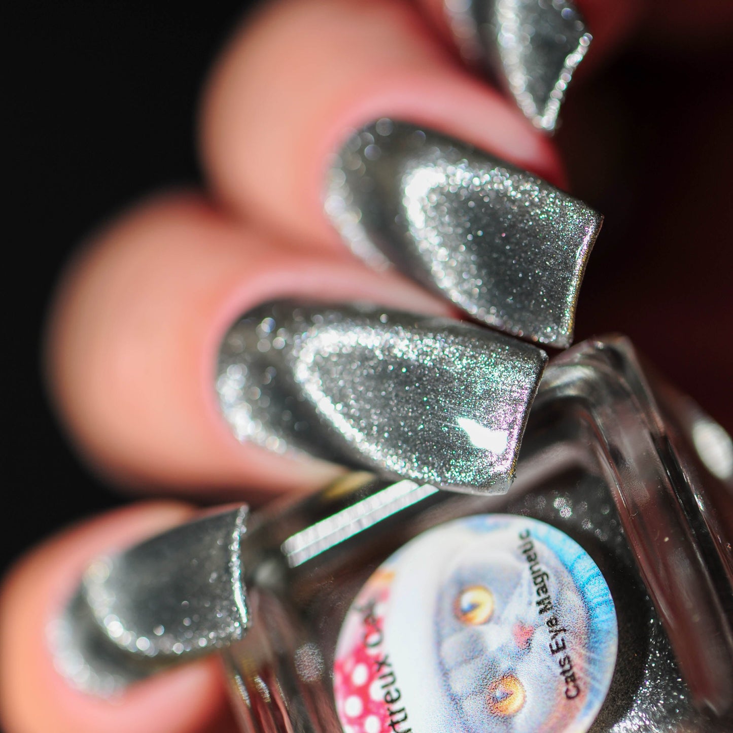 Parrot Polish "Chartreux Cat" Magnetic Ultrachrome Nail Polish, Silver Black