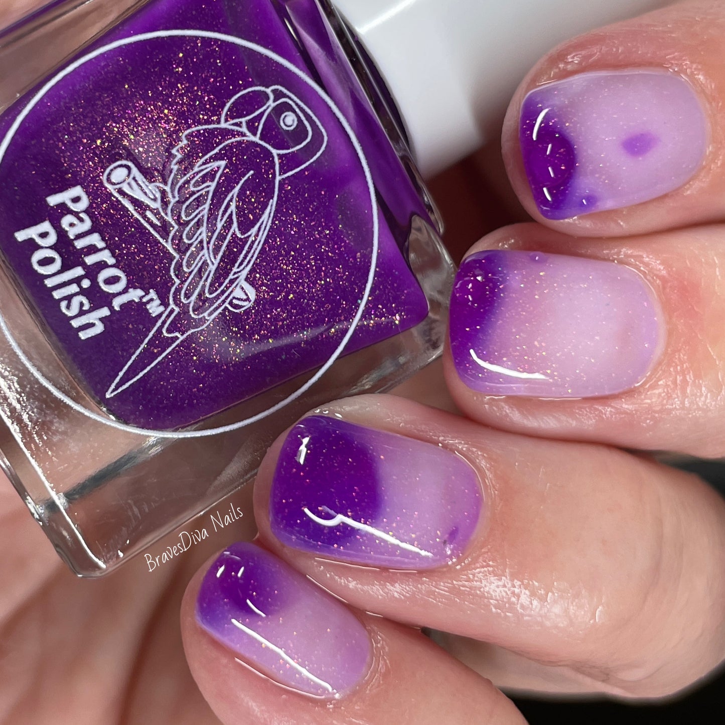 Parrot Polish Fairy Thermal Nail Polish V2 - Purple/Pink