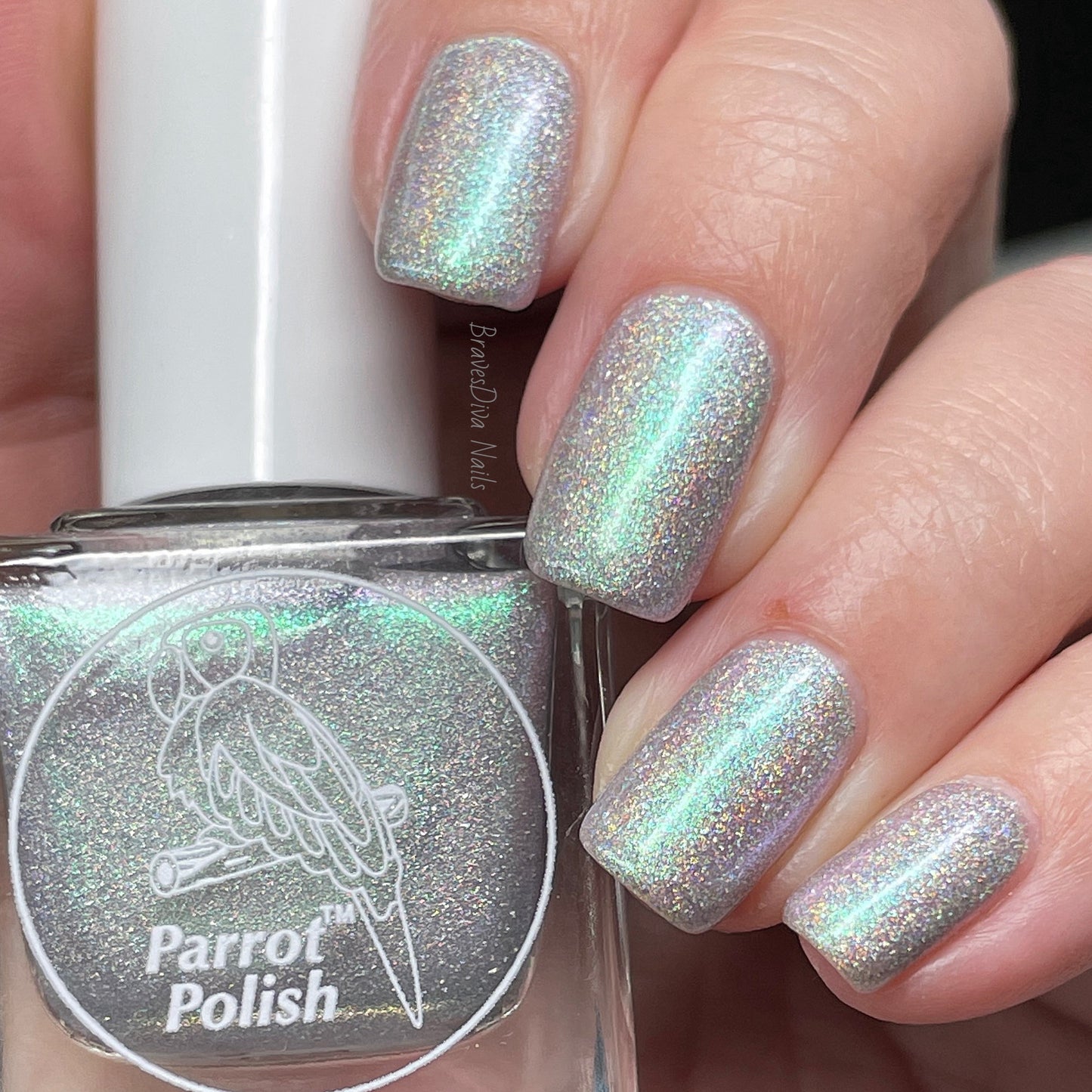 Parrot Polish "Friends" 2024 Spring  Blue/Green Ultrachrome Holographic