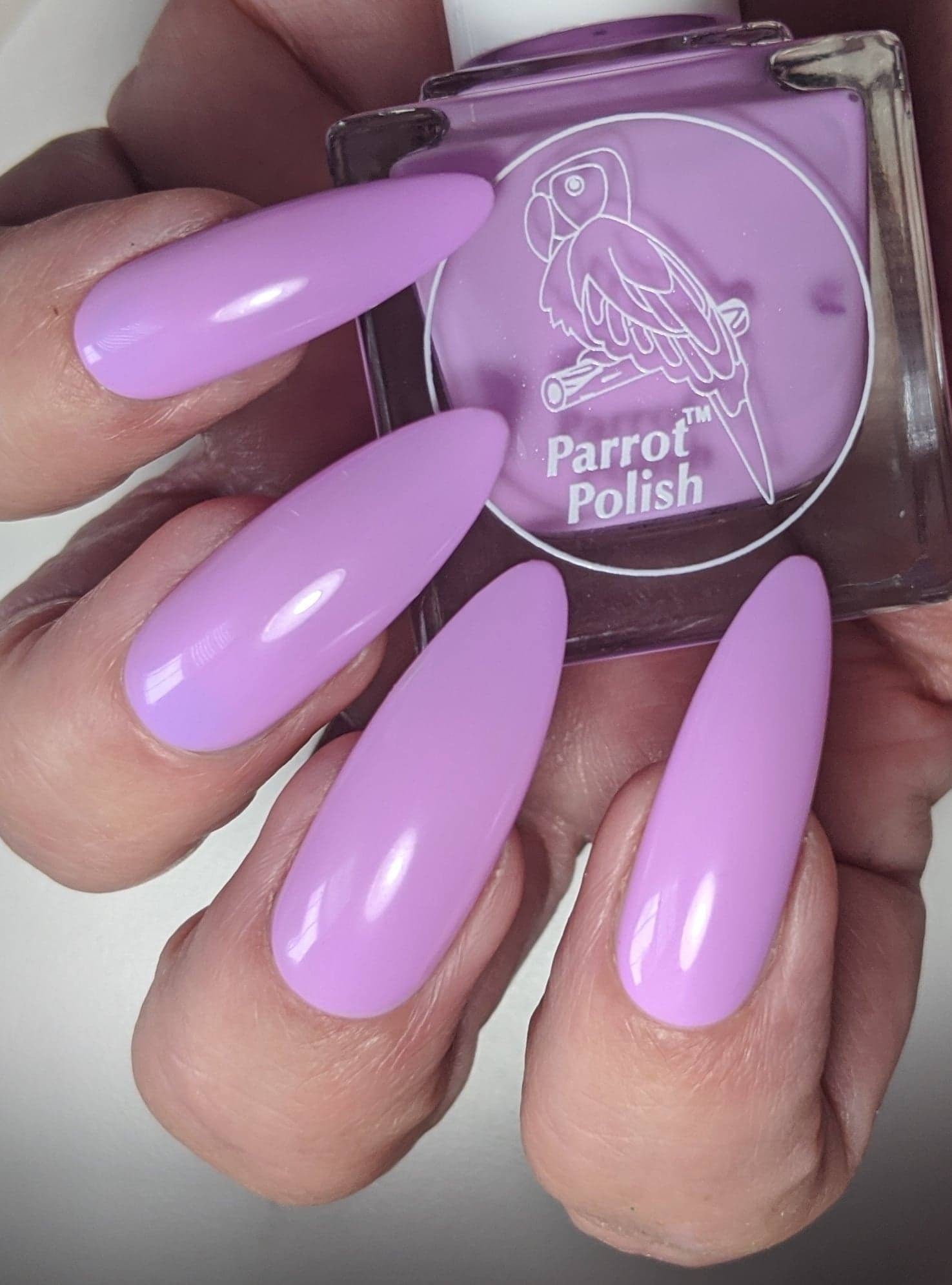 Wisteria – Dark Purple Gel Nail Polish | 14 Day Manicure
